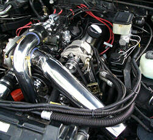 Customized vehicle engine bay