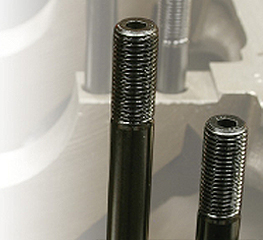 Close-up of two metal studs