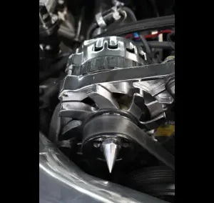 Polished alternator and serpentine belt system